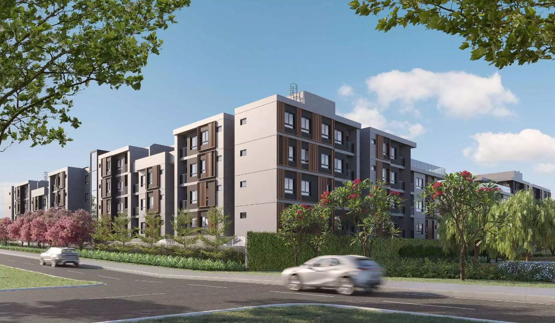 imagem galeria sobre