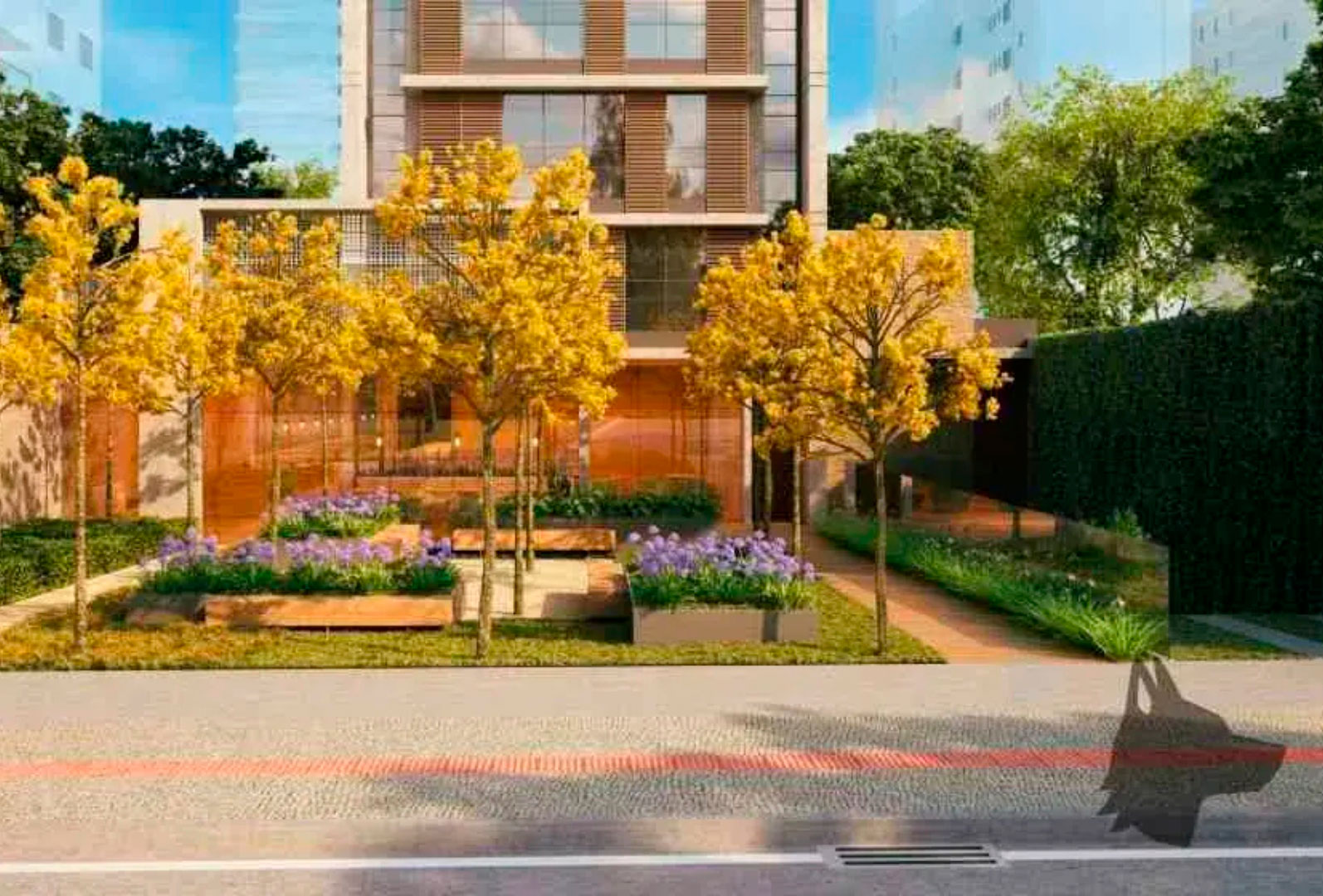 imagem galeria sobre